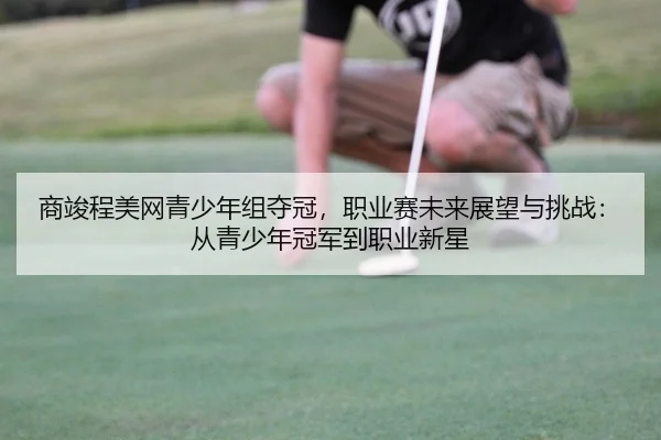 商竣程美网青少年组夺冠，职业赛未来展望与挑战：从青少年冠军到职业新星