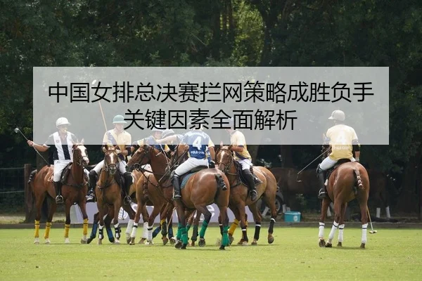 中国女排总决赛拦网策略成胜负手 关键因素全面解析